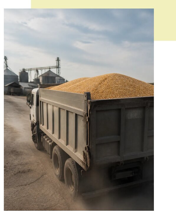 Перевозка сельхозпродукции навалом в Борзю по цене от 3090 р. | Агросервис-Бря